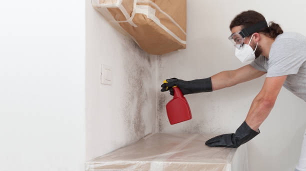 Professional Basement Mold Remediation technician working in Peach Bottom, PA